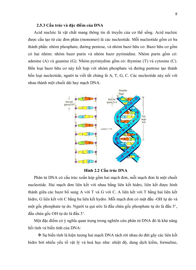 image for page Xác định sự hiện diện của các kiểu gen Prolactin receptor trên một số giống heo công nghiệp bằng phương pháp PCR RFLP