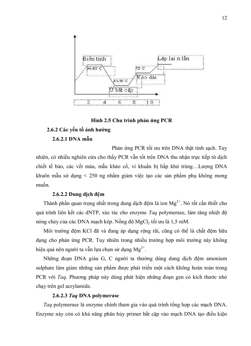 image for page Xác định sự hiện diện của các kiểu gen Prolactin receptor trên một số giống heo công nghiệp bằng phương pháp PCR RFLP