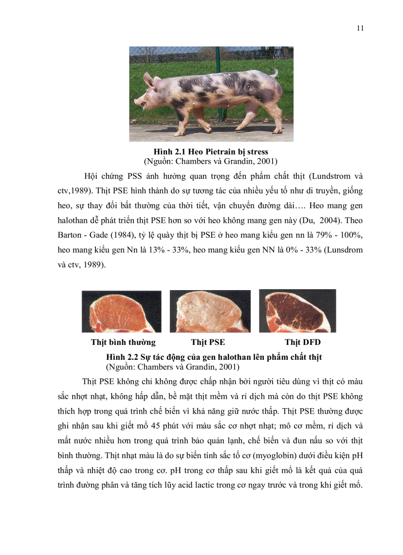 image for page Sản xuất bộ kit tách chiết dna và bộ kit pcr phát hiện gen halothan trên heo