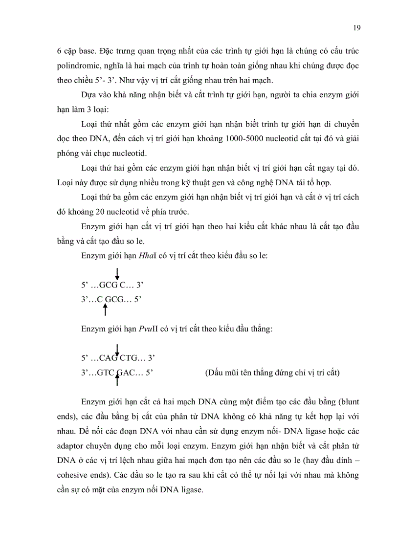 image for page Sản xuất bộ kit tách chiết dna và bộ kit pcr phát hiện gen halothan trên heo