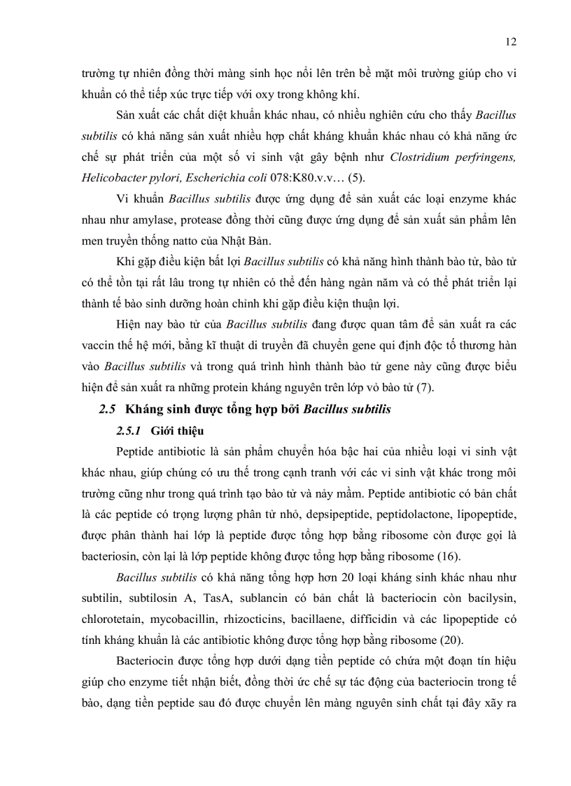 image for page Phân lập vi khuẩn bacillus subtilis trong phân heo và thử đối kháng với e Coli gây bệnh tiêu chảy trên heo