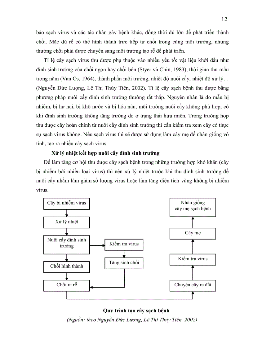 image for page ỨNG DỤNG KỸ THUẬT RT PCR PHÁT HIỆN VIRUS PMWaV 1 Pineapple mealybug wilt associated virus 1 GÂY BỆNH HÉO ĐỎ ĐẦU LÁ TRÊN CÂY DỨA CAYENNE