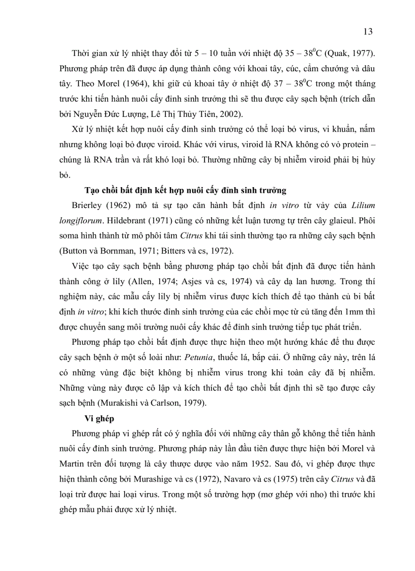 image for page ỨNG DỤNG KỸ THUẬT RT PCR PHÁT HIỆN VIRUS PMWaV 1 Pineapple mealybug wilt associated virus 1 GÂY BỆNH HÉO ĐỎ ĐẦU LÁ TRÊN CÂY DỨA CAYENNE