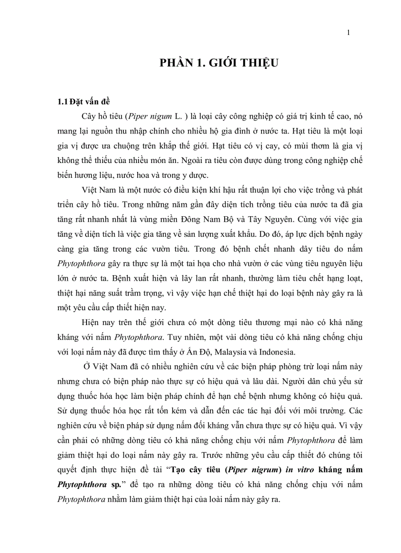 image for page Bước đầu tạo cây tiêu Piper nigrum invitro kháng nấm Phytophthora sp