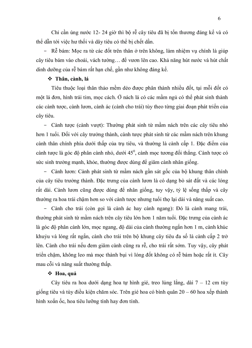 image for page Nghiên cứu đa dạng di truyền cây tiêu Piper nigrum L tai thi xã Bà Rìa Vũng Tàu bằng kỹ thuật RAPD