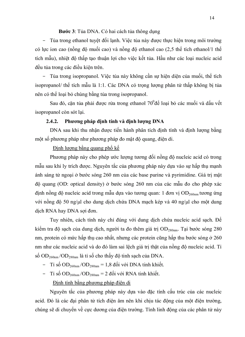 image for page Nghiên cứu đa dạng di truyền cây tiêu Piper nigrum L tai thi xã Bà Rìa Vũng Tàu bằng kỹ thuật RAPD