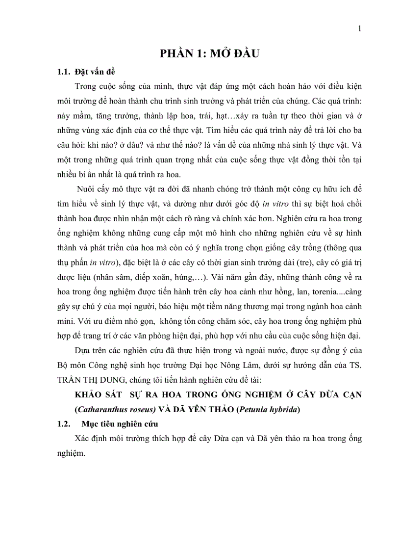 image for page Khảo sát sự ra hoa trong ống nghiệm cây dứa cạn Catharanthus roseus và dã yên thảo Petunia hybrida
