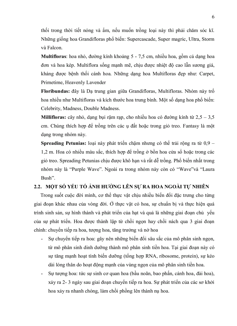 image for page Khảo sát sự ra hoa trong ống nghiệm cây dứa cạn Catharanthus roseus và dã yên thảo Petunia hybrida