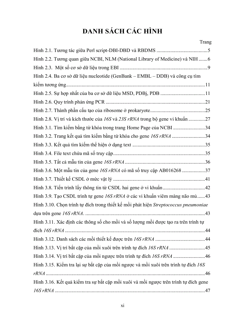 image for page Xây dựng cơ sở dữ liệu hai gene 16s và 23s ribosom rna ở vi khuẩn ứng dụng cơ sở dữ liệu hai gene 16s và 23s ribosom rna ở vi khuẩn để phát hiện các tác nhân gây bệnh viêm màng não