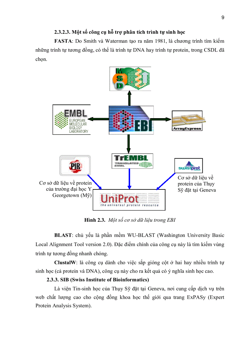 image for page Xây dựng cơ sở dữ liệu hai gene 16s và 23s ribosom rna ở vi khuẩn ứng dụng cơ sở dữ liệu hai gene 16s và 23s ribosom rna ở vi khuẩn để phát hiện các tác nhân gây bệnh viêm màng não