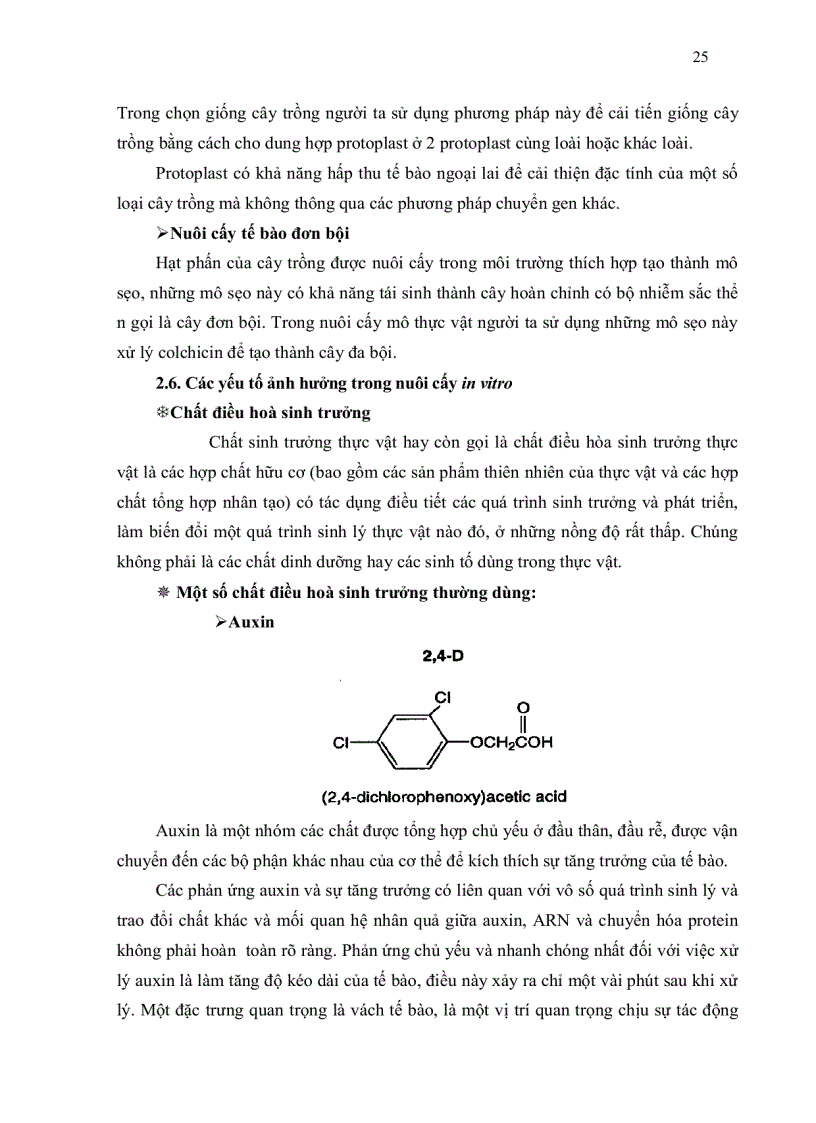 image for page Thiết kế và nghiên cứu hệ thống bioreactor cho cây dứa cayenne