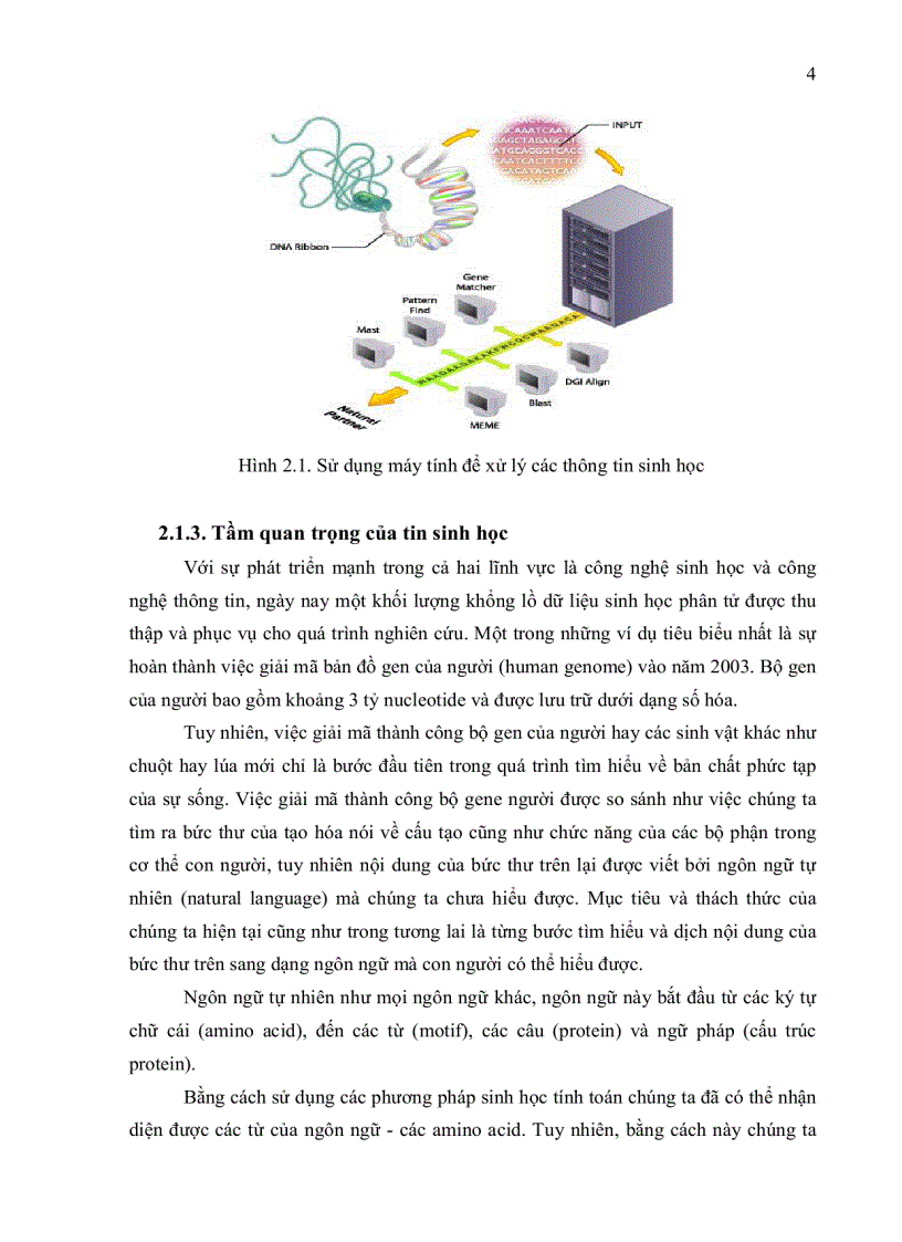 image for page Phát hiện marker microsatellite từ cơ sở dữ liệu trình tự est Expressed Sequence Tags của cây xoài Mangifera indica