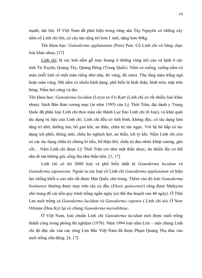 image for page Tìm hiểu về một loại nấm Linh chi thu hái tại Thủ Đức Tp Hồ Chí Minh