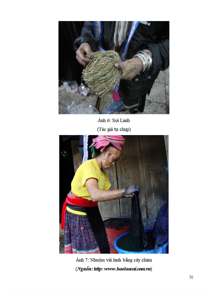 image for page Vai trò của cây lanh trong đời sống văn hoá của người Hmông ở huyện Sa Pa tỉnh Lào Cai