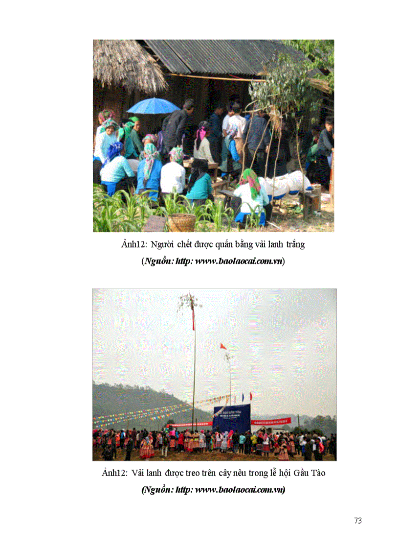 image for page Vai trò của cây lanh trong đời sống văn hoá của người Hmông ở huyện Sa Pa tỉnh Lào Cai