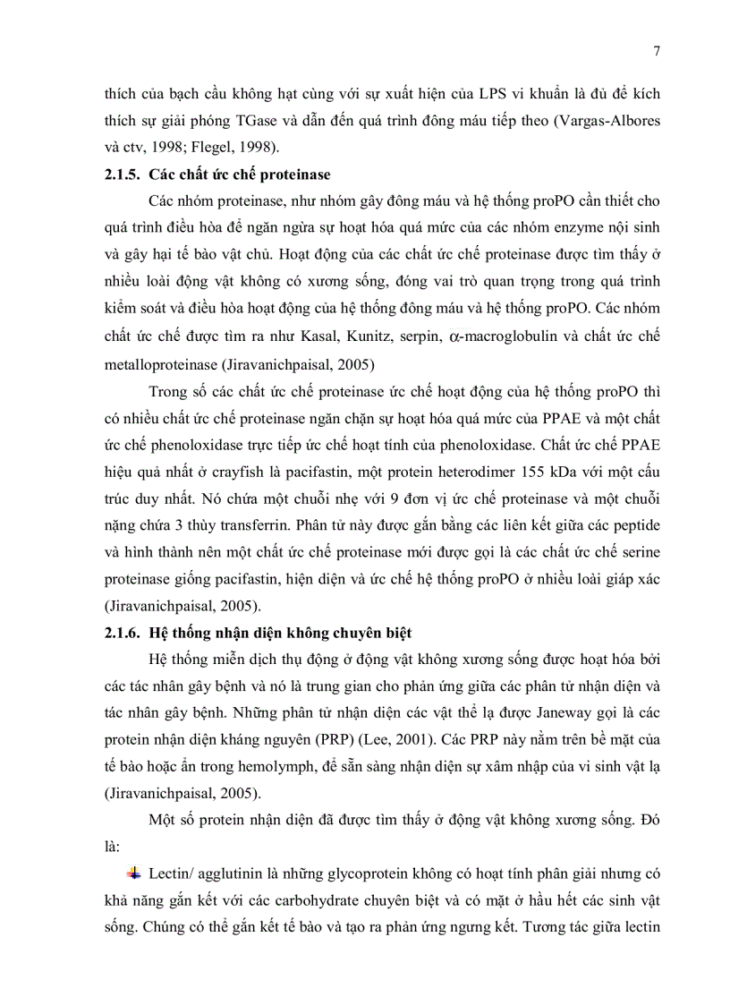image for page Bước đầu khảo sát quá trình phát sinh bệnh pathogenesis của virus đốm trắng White Spot Syndrome Virus WSSV trên tôm sú Penaeus mondon sử dụng mô hình gây nhiễm thực nghiệm chuẩn