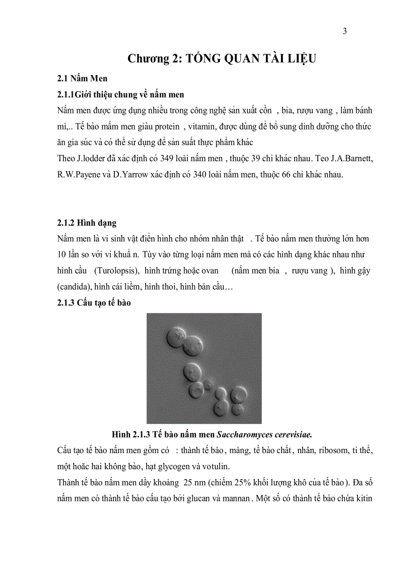 image for page Khảo sát ccác phương pháp tăng khả năng chịu nhiệt của nấm men làm bánh mì