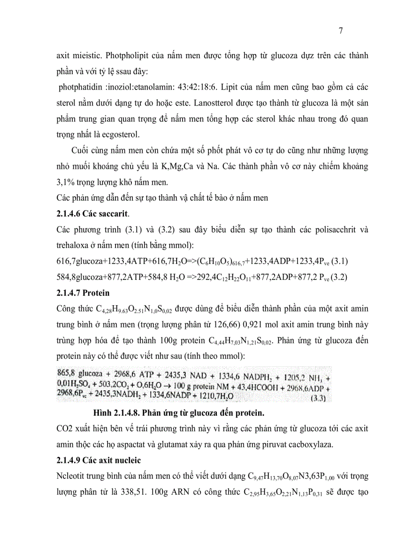 image for page Khảo sát ccác phương pháp tăng khả năng chịu nhiệt của nấm men làm bánh mì