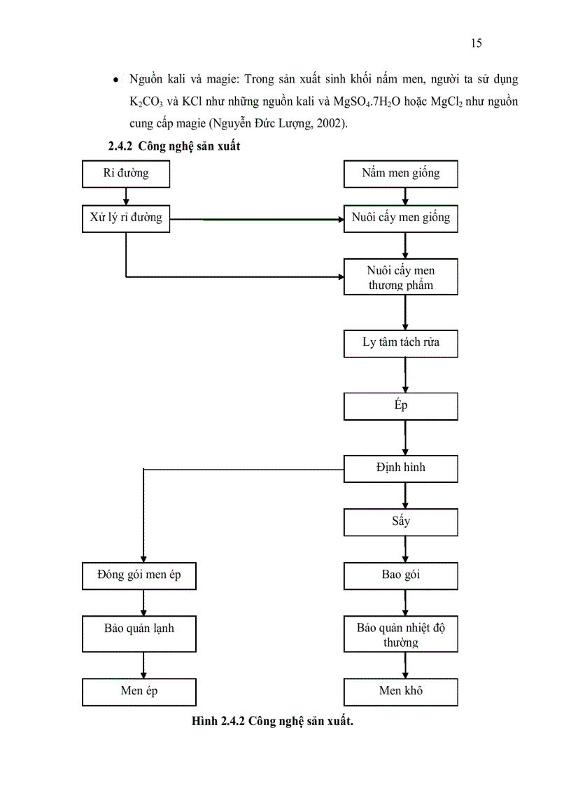 image for page Khảo sát ccác phương pháp tăng khả năng chịu nhiệt của nấm men làm bánh mì