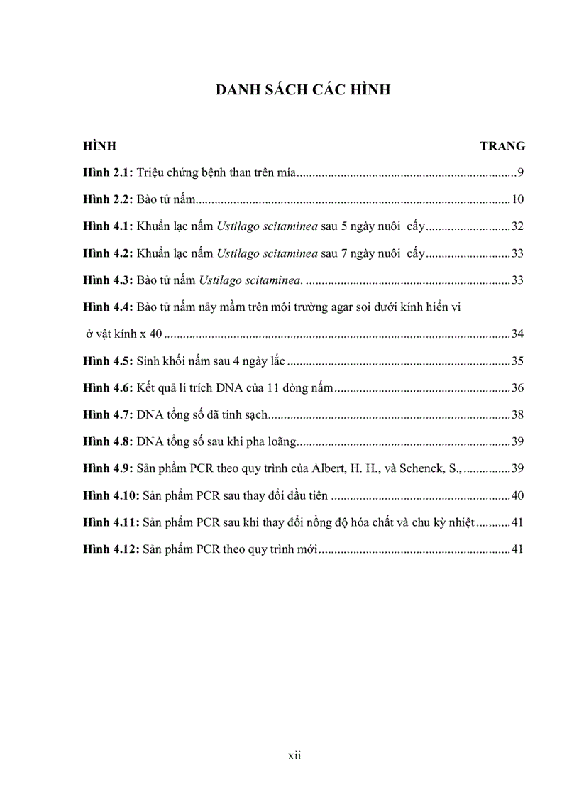 image for page Xây dựng qui trình PCR phát hiện nấm Ustilago scitaminea gây bệnh than trên mía