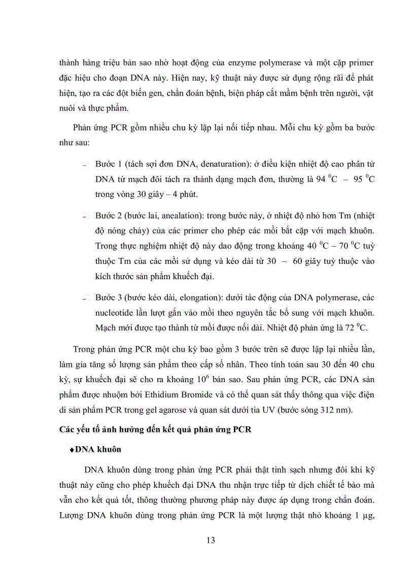 image for page Xây dựng qui trình PCR phát hiện nấm Ustilago scitaminea gây bệnh than trên mía