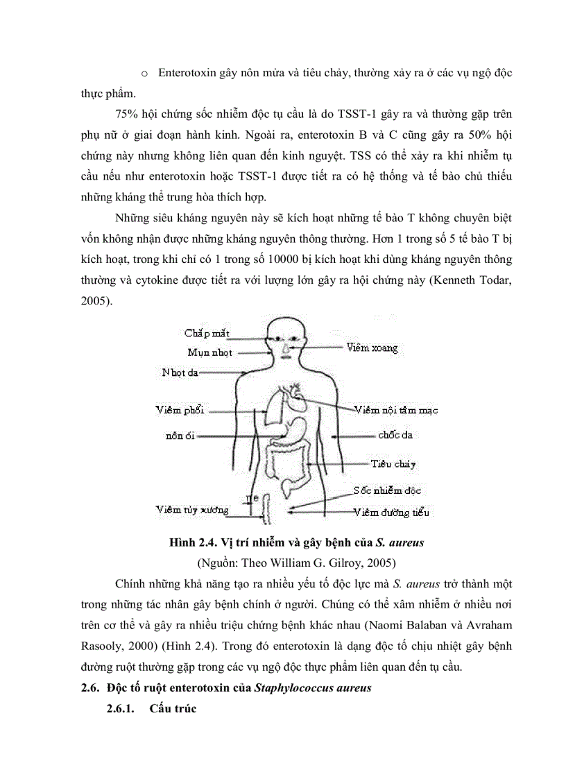image for page Khảo sát đậm độ và khả năng sinh độc tố của vi khuẩn S aureus trên môi trƣờng nuôi cấy