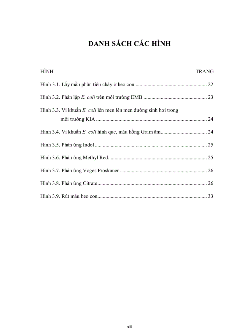 image for page Thử nghiệm điều chế auto vaccine phõng bệnh tiêu chảy do e Coli trên heo sau cai sữa