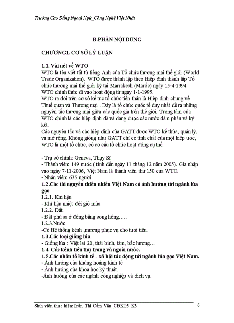 image for page Thực trạng lúa gạo việt nam sau khi ra nhập wto