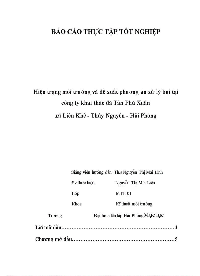 image for page Báo cáo thực tập Hiện trạng môi trường và đề xuất phương án xử lý bụi tại công ty khai thác đá Tân Phú Xuân Hải Phòng