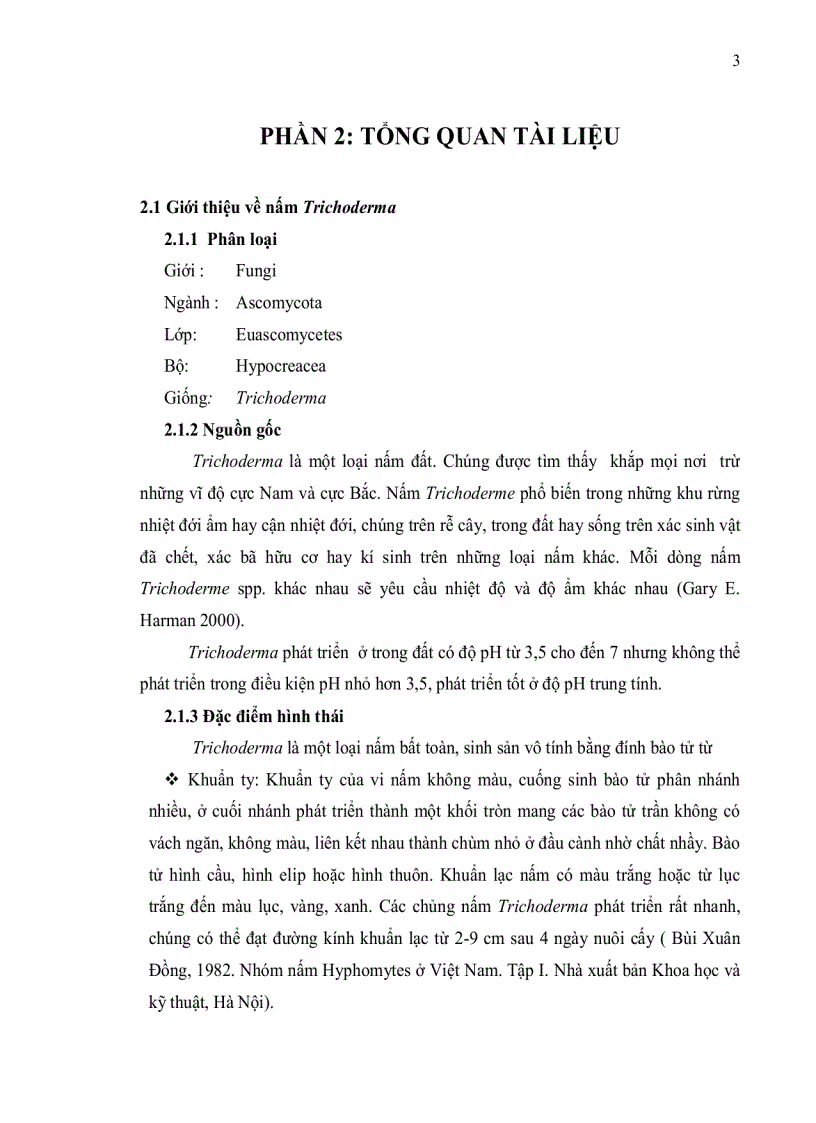 image for page ĐỊNH DANH NẤM Trichoderma DỰA VÀO TRÌNH TỰ VÙNG ITS rDNA VÀ VÙNG TEF