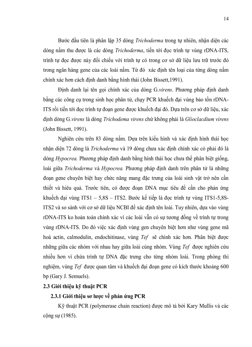 image for page ĐỊNH DANH NẤM Trichoderma DỰA VÀO TRÌNH TỰ VÙNG ITS rDNA VÀ VÙNG TEF