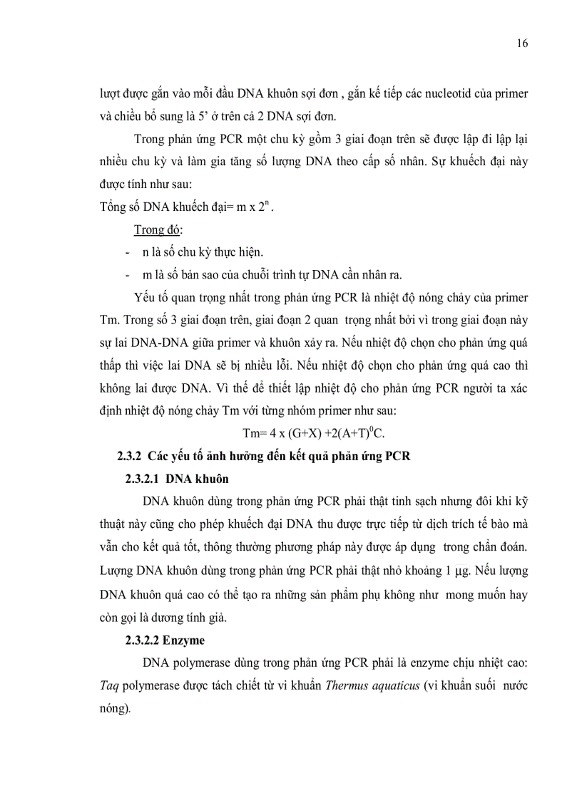 image for page ĐỊNH DANH NẤM Trichoderma DỰA VÀO TRÌNH TỰ VÙNG ITS rDNA VÀ VÙNG TEF