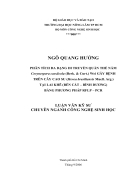 HÂN TÍCH ĐA DẠNG DI TRUYỀN QUẦN THỂ NẤM Corynespora cassiicola Berk Curt Wei GÂY BỆNH TRÊN CÂY CAO SU Hevea brasiliensis Muell Arg TẠI LAI KHÊ BẾN CÁT BÌNH DƯƠNG BẰNG PHƯƠNG PHÁP RFLP P