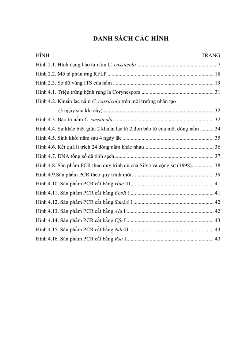 image for page HÂN TÍCH ĐA DẠNG DI TRUYỀN QUẦN THỂ NẤM Corynespora cassiicola Berk Curt Wei GÂY BỆNH TRÊN CÂY CAO SU Hevea brasiliensis Muell Arg TẠI LAI KHÊ BẾN CÁT BÌNH DƯƠNG BẰNG PHƯƠNG PHÁP RFLP P