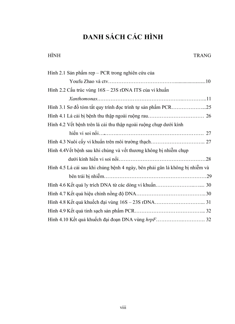 image for page Phân lập và định danh tác nhân gây bệnh đốm lá cây cải ngọt tại Tp HCM bằng phương pháp PCR và giải trình vùng 16S 23S rDNA