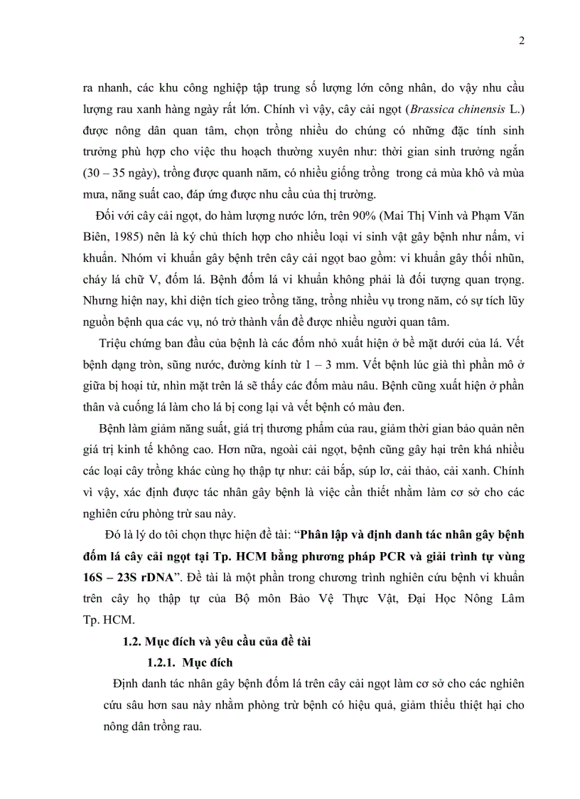 image for page Phân lập và định danh tác nhân gây bệnh đốm lá cây cải ngọt tại Tp HCM bằng phương pháp PCR và giải trình vùng 16S 23S rDNA