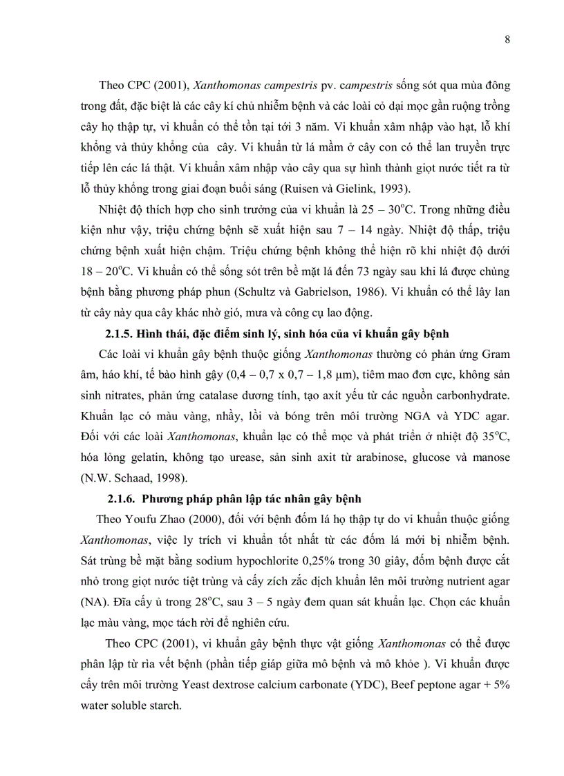 image for page Phân lập và định danh tác nhân gây bệnh đốm lá cây cải ngọt tại Tp HCM bằng phương pháp PCR và giải trình vùng 16S 23S rDNA