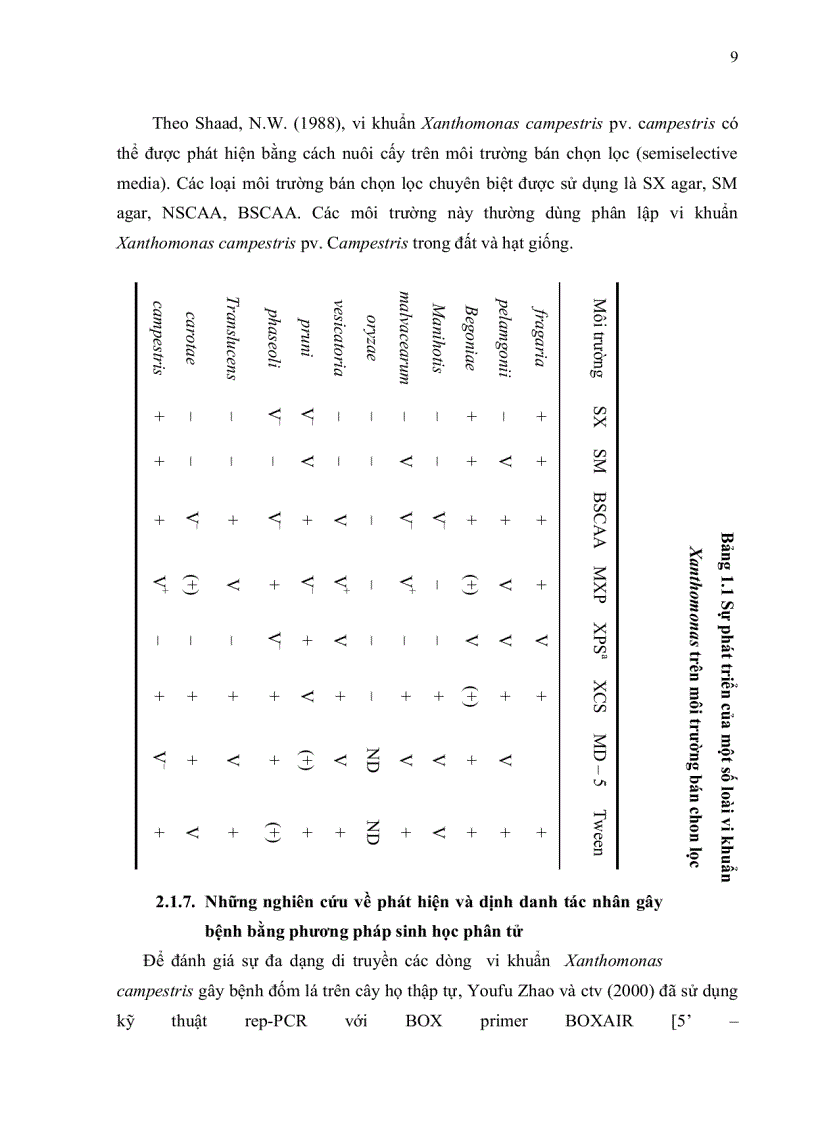 image for page Phân lập và định danh tác nhân gây bệnh đốm lá cây cải ngọt tại Tp HCM bằng phương pháp PCR và giải trình vùng 16S 23S rDNA