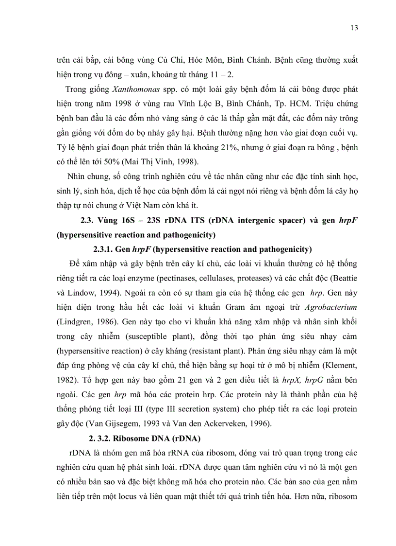 image for page Phân lập và định danh tác nhân gây bệnh đốm lá cây cải ngọt tại Tp HCM bằng phương pháp PCR và giải trình vùng 16S 23S rDNA