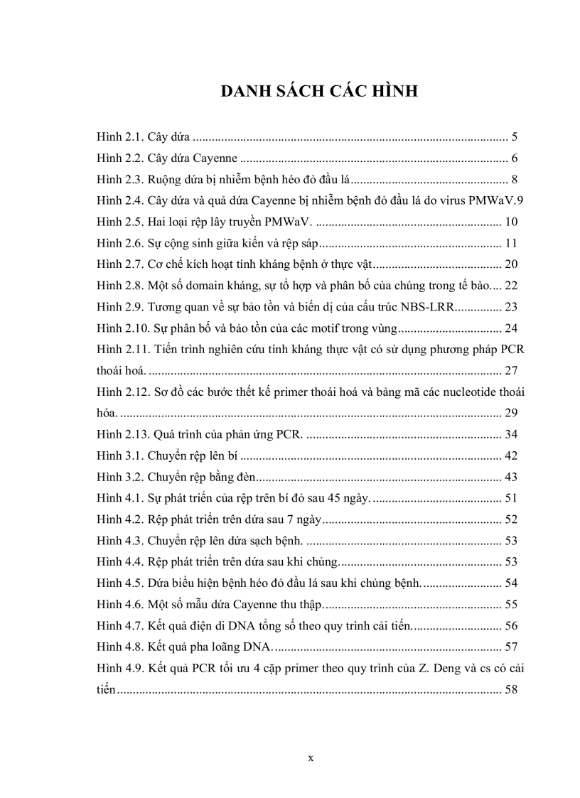 image for page Xác định gene liên quan đến tính kháng virus PMWaV gây bệnh héo đỏ đầu lá trên giống dứa Cayenne bằng phương pháp PCR thoái hoá
