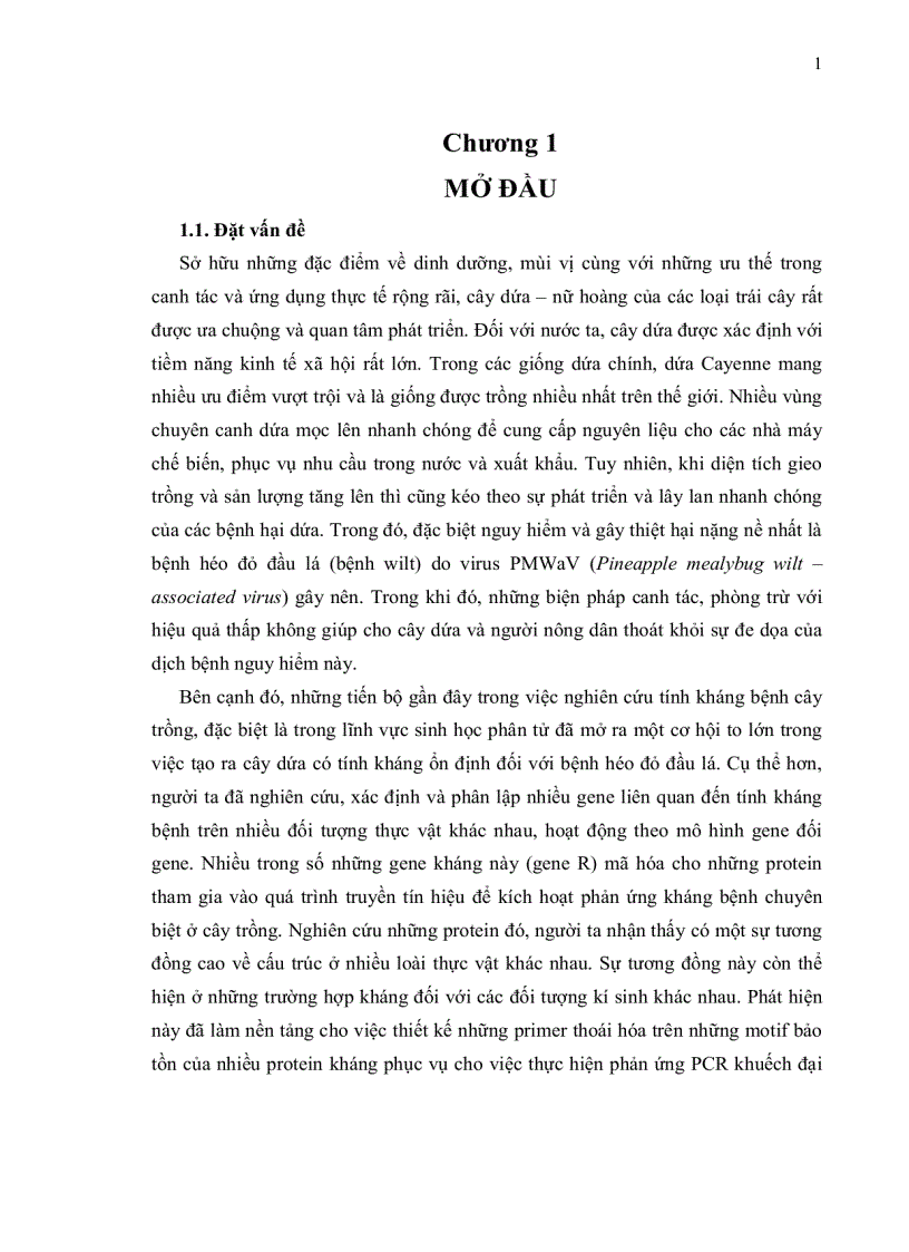 image for page Xác định gene liên quan đến tính kháng virus PMWaV gây bệnh héo đỏ đầu lá trên giống dứa Cayenne bằng phương pháp PCR thoái hoá