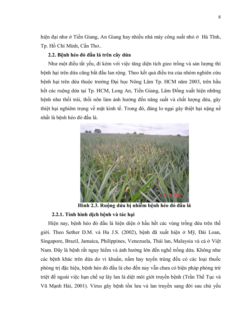 image for page Xác định gene liên quan đến tính kháng virus PMWaV gây bệnh héo đỏ đầu lá trên giống dứa Cayenne bằng phương pháp PCR thoái hoá