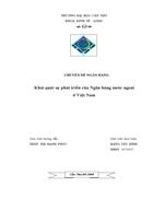 Khái quát sự phát triển của các Ngân hàng nước ngoài ở Việt Nam giai đoạn 2000 2010