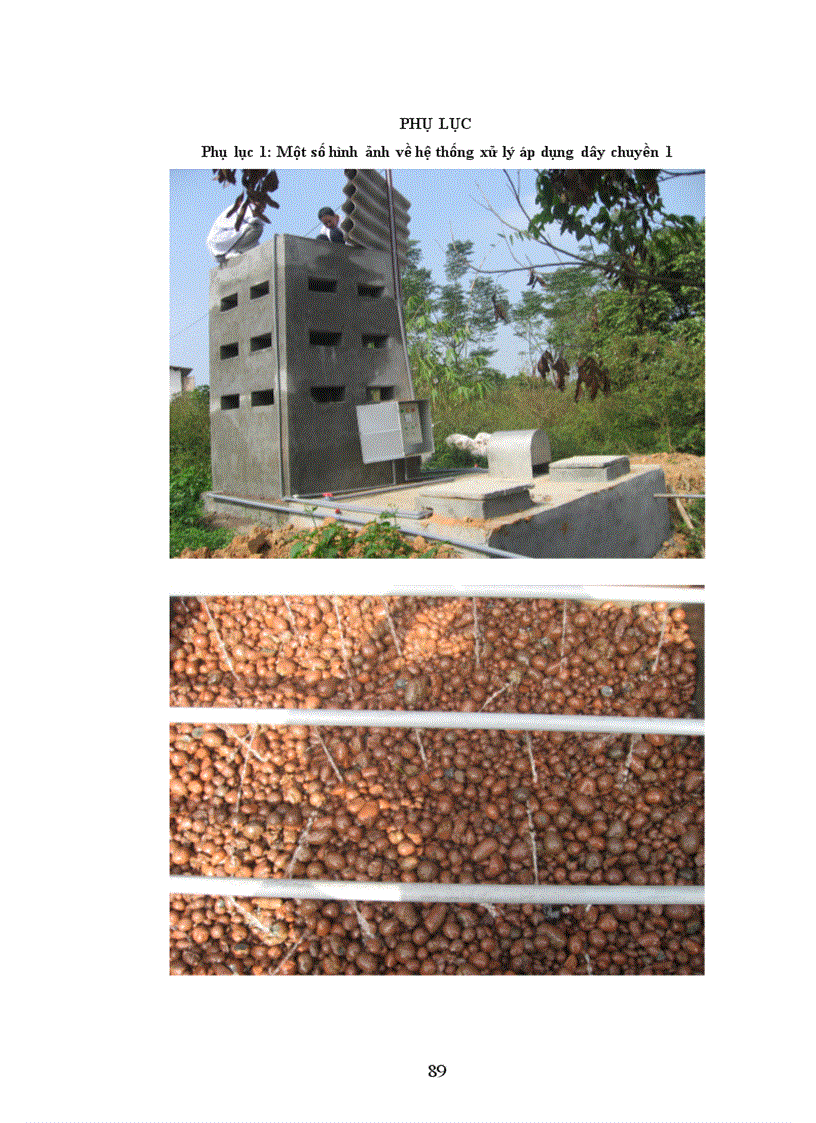 image for page Giải pháp công nghệ xử lý nước thải chăn nuôi lợn bằng phương pháp sinh học phù hợp với điều kiện Việt Nam