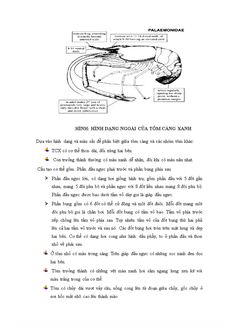 image for page Thực tập giáo trình chuyên môn nước lợ
