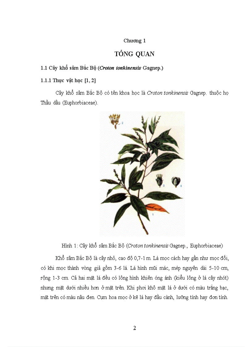 image for page Nghiên cư u bán tổng hợp các dẫn xuất của ent kauran diterpenoid từ cây khổ sâm Bắc Bộ Croton tonkinensis Gagnep Euphorbiaceae và khảo sát hoạt tính sinh học của chúng