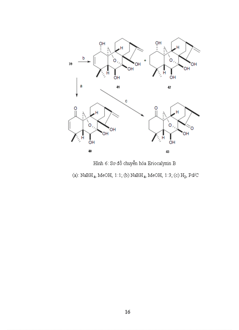 image for page Nghiên cư u bán tổng hợp các dẫn xuất của ent kauran diterpenoid từ cây khổ sâm Bắc Bộ Croton tonkinensis Gagnep Euphorbiaceae và khảo sát hoạt tính sinh học của chúng