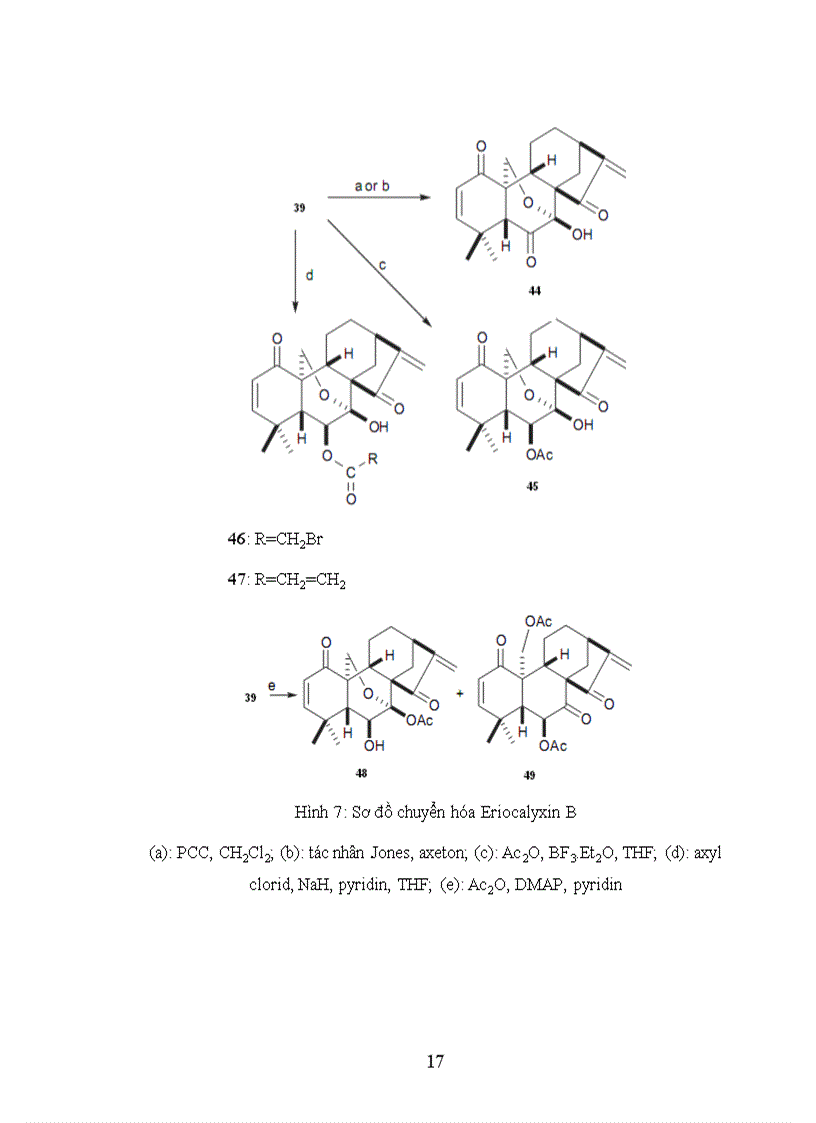 image for page Nghiên cư u bán tổng hợp các dẫn xuất của ent kauran diterpenoid từ cây khổ sâm Bắc Bộ Croton tonkinensis Gagnep Euphorbiaceae và khảo sát hoạt tính sinh học của chúng