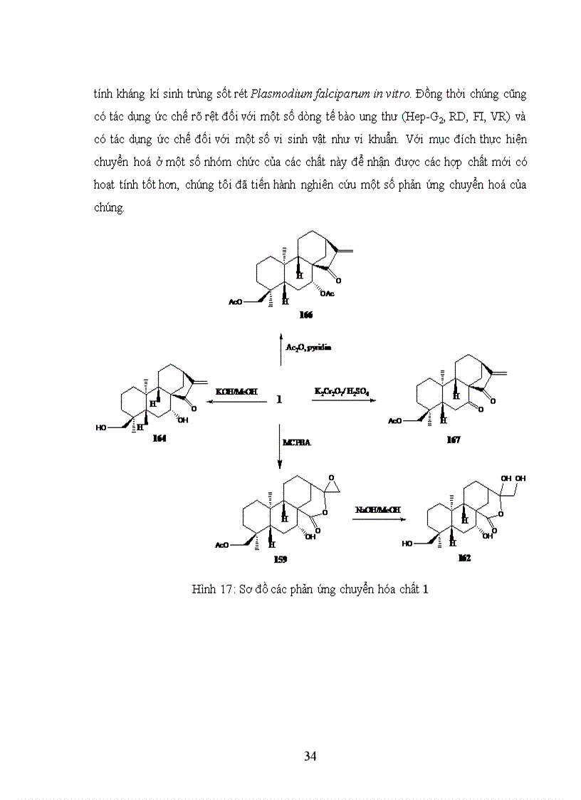image for page Nghiên cư u bán tổng hợp các dẫn xuất của ent kauran diterpenoid từ cây khổ sâm Bắc Bộ Croton tonkinensis Gagnep Euphorbiaceae và khảo sát hoạt tính sinh học của chúng