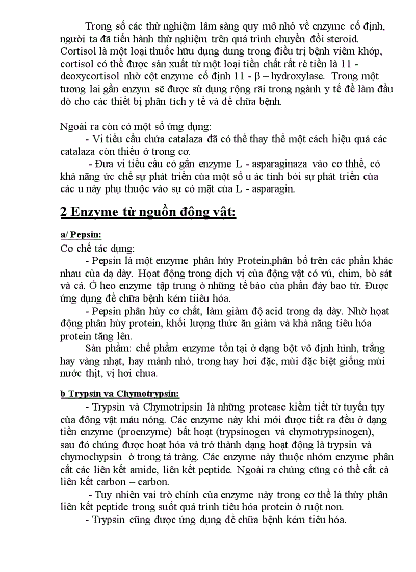 image for page Ứng Dụng Của Enzyme Trong Điều Trị Bệnh